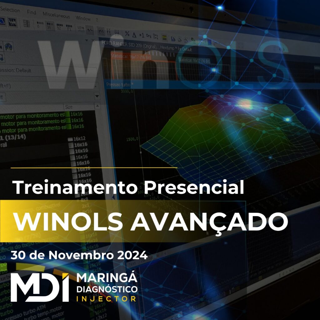 Treinamento Winols Avançado - MDI