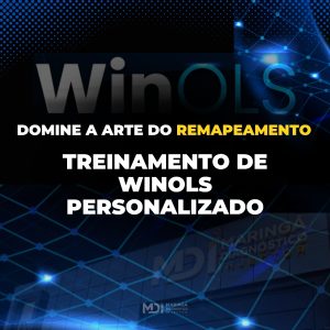 Treinamento Winols Persoalizado - MDI