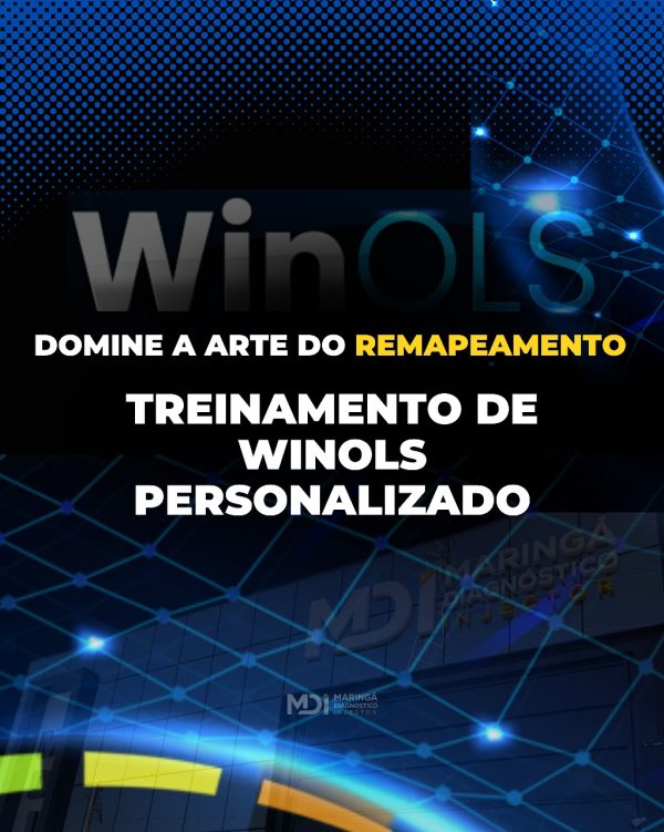 Treinamento Winols Persoalizado - MDI